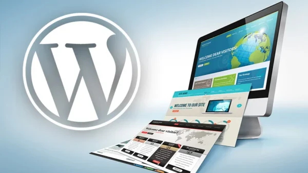Plugin-Guide on wordpress website